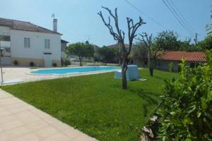 a yard with a tree and a swimming pool at Casa da Avó Tita in Cardeal +13 photos
