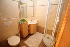 a bathroom with a toilet and a sink and a shower at Das kleine Berghotel in Liesing