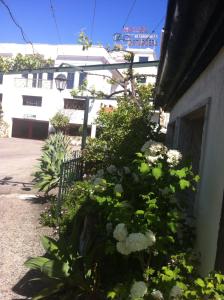 a garden of flowers on the side of a building at Hotel Casa Portuguesa in Loures