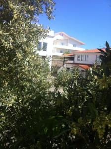 un edificio blanco con árboles delante de él en Hotel Casa Portuguesa, en Loures