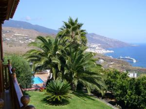 Uitzicht op het zwembad bij Villas Los Pajeros of in de buurt