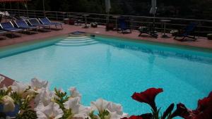 a large swimming pool with blue water and flowers at Villa Fernanda in Cava deʼ Tirreni