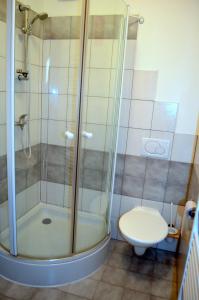 ein Bad mit einer Dusche und einem WC in der Unterkunft Trend Hotel in Námestovo