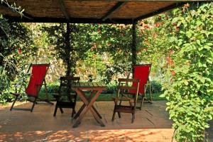 A garden outside Fattoria Casa Sola