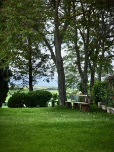 una panchina da parco seduta sotto un albero nell'erba di Borgo Lucignanello Bandini a San Giovanni dʼAsso