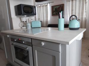 a kitchen counter with a sink and a microwave at Living-in-History: Heidi Braun Cottage in Dudeldorf