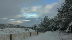 Apartamento Almanzor during the winter