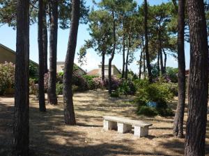 a bench sitting in the middle of a park with trees at Sables de biguglia cordon lagunaire in Borgo +10 photos