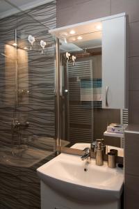 a bathroom with a sink and a shower and a mirror at Studio Apartman Ždral in Daruvar