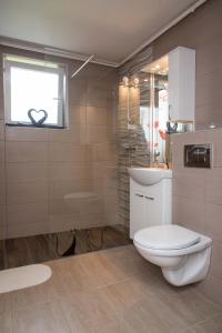 a bathroom with a toilet and a sink and a window at Studio Apartman Ždral in Daruvar