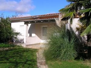 a white house with a palm tree in front of it at Apartments Oaza Regi in Medulin