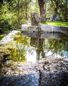 a pond in a park with a bench and trees at Maison d'Hôtes Zella in Bains de Guitera