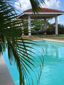 a palm tree next to a swimming pool with a gazebo at Samaki House in Kilifi