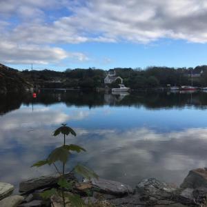 a view of a lake with a boat in the water at Goleen Harbour Tiny House in Goleen