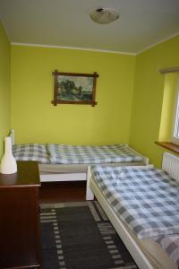 two beds in a room with green walls at Agroturystyka Nad Jeziorem Piecki in Piecki