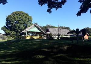 una casa con techo de paja en un campo de césped en Yasipark - Nature Park und Ecolodge, en Yásica Arriba
