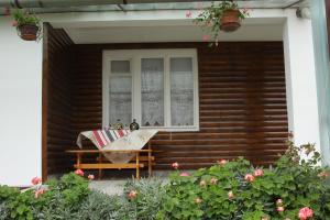 Zahrada ubytování Apartman ŠOKICA