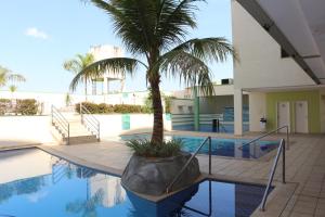 a palm tree sitting next to a swimming pool at Serra Park - Rio Quente Reservas in Rio Quente