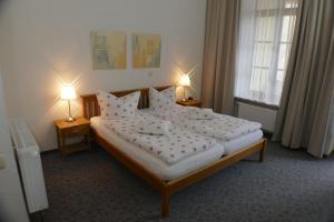 1 dormitorio con 1 cama con almohadas y 2 lámparas en Hotel Meridian en Görlitz