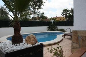 a swimming pool with a palm tree and a rock at Casa Mireia i Paula in Riumar