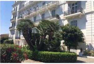 カンヌにあるWinter Palace Cannesのヤシの木が目の前に広がる白い建物