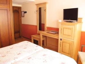 Una televisión o centro de entretenimiento en Hotel Alda A Boira