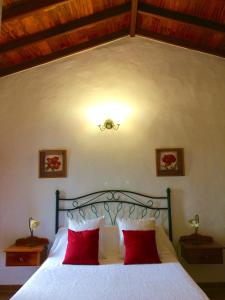 a bedroom with a large bed with red pillows at BELLA DORAMAS Casas Rurales Panchita & Millo in Moya