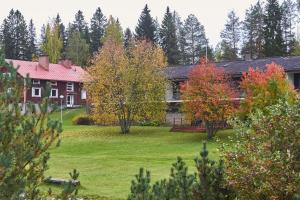 a house in the middle of a yard with trees at Hostel Pielinen in Vuonislahti