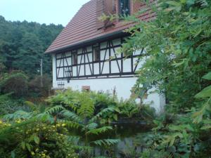 リンバッハ・オーバーフローナにあるRestaurant & Pension "Bauernhof zum Silberbergwerk"のバルコニー付きの家、池が前にある家