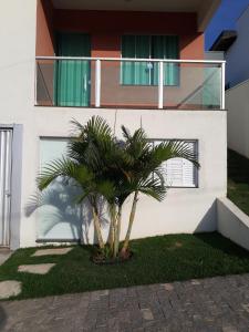 a palm tree in front of a house at Suíte Triplex in Capitólio
