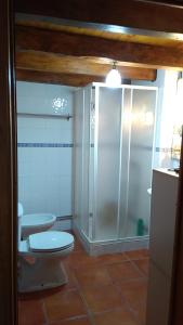 a bathroom with a toilet and a shower at Casa da Palmeira in Outeiro da Cortiçada