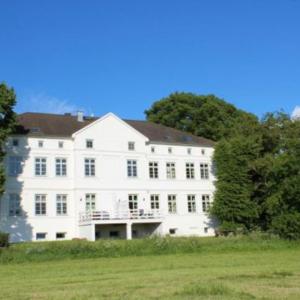 a large white building in a field with trees at FEWO 16, Herrenhaus Blengow, Lindenallee 21 in Rerik