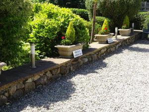a row of potted plants on a stone wall at Yr Hen Felin - The Old Mill B&B in Morfa Nefyn