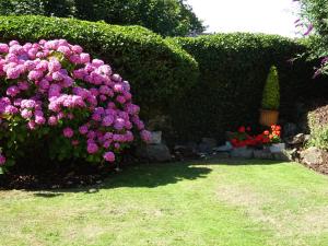 a hedge with purple and red flowers in a yard at Yr Hen Felin - The Old Mill B&B in Morfa Nefyn