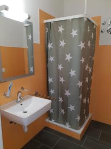 un bagno con lavandino e tenda doccia con stelle di ZüriZimmer a Zurigo