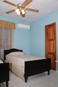 Puerto Armuelles的住宿－Hostel Guayacan，一间卧室配有吊扇和一张床