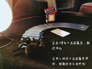 a poster of a spider on a table with a book at King Wow Inn in Tainan