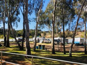 a group of trees and tents in a park at Riverbend Caravan Park Renmark in Renmark