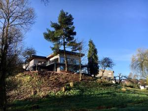 uma casa no topo de uma colina com uma árvore em Haagalm Terrasse, Garten em Nonnweiler