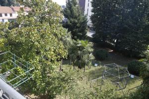 A garden outside Hotel Damian Park Hotel Delle Magnolie