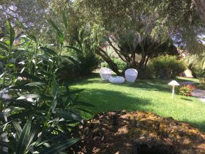 a green yard with trees and a lawn with plants at Cala Rosa Club Hotel in Stintino