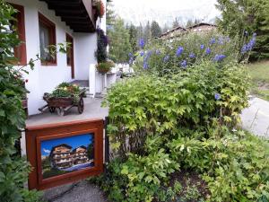 Zahrada ubytování Hotel Principe
