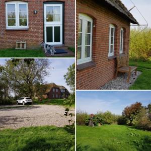 Zahrada ubytování Tammwarftshof + 16 fotografií