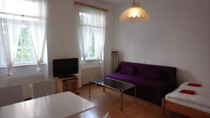 ウィーンにあるStudio Apartment Stadthalleのリビングルーム(紫色のソファ、テレビ付)