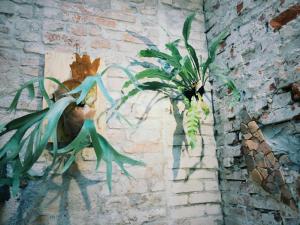 Fotografie z fotogalerie ubytování XiaoBei Home2 v destinaci Tchaj-nan