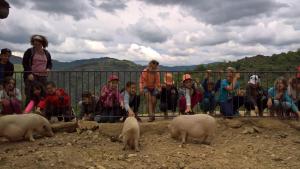 Imagen de la galería de La ferme des Cévennes, en Florac Trois Riviere 53 fotos más