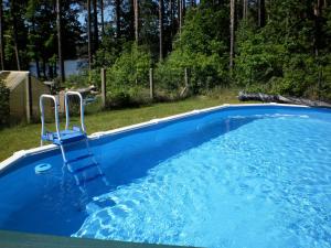 a large blue swimming pool in a yard at Ferienhäuser Waldidyll in Canow