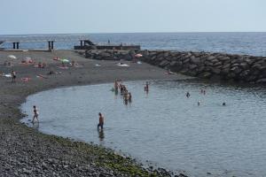 Príroda v okolí apartmánu