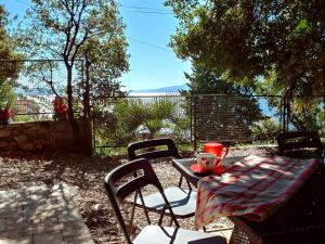 Príroda v okolí apartmánu