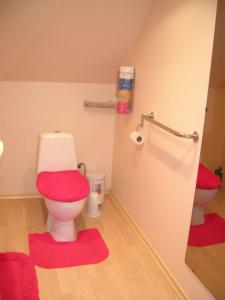 a bathroom with a toilet with a red lid at Kalda Talu in Tõlliste
